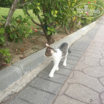 фото из отзыва ID 1841232