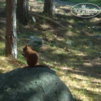 фото из отзыва ID 1841131