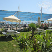 фото из отзыва ID 1841306