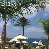 фото из отзыва ID 1840865