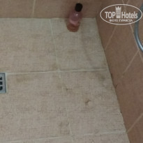 фото из отзыва ID 1841051