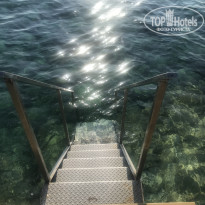 фото из отзыва ID 1841773