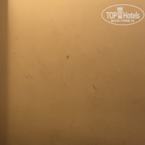 фото из отзыва ID 1841839