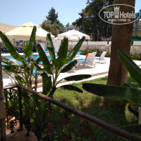 фото из отзыва ID 1841863