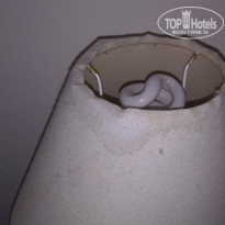 фото из отзыва ID 1841888