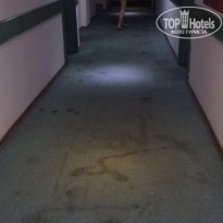 фото из отзыва ID 1841888