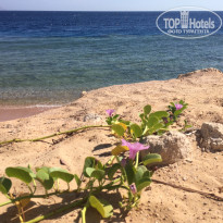 фото из отзыва ID 1841983