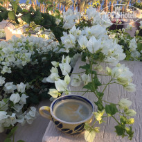 фото из отзыва ID 1841983