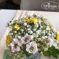 фото из отзыва ID 1842233