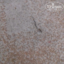 фото из отзыва ID 1842255