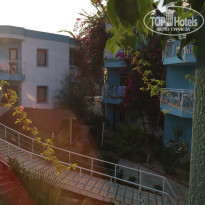 фото из отзыва ID 1842309