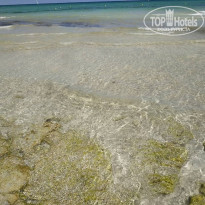 фото из отзыва ID 1842320