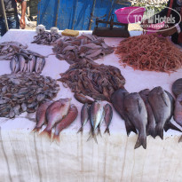 фото из отзыва ID 1842836