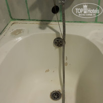 фото из отзыва ID 1842845