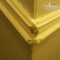 фото из отзыва ID 1842845