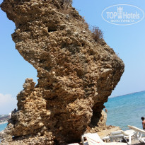 фото из отзыва ID 1843096