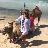 фото из отзыва ID 1843116