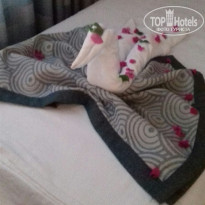 фото из отзыва ID 1843304