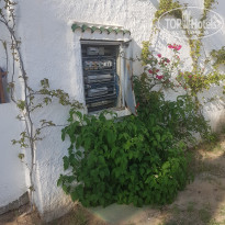 фото из отзыва ID 1843425