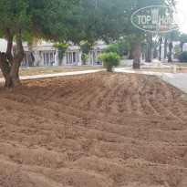 фото из отзыва ID 1843425