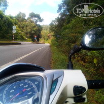 фото из отзыва ID 1843559