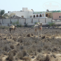 фото из отзыва ID 1843562