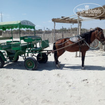 фото из отзыва ID 1843562