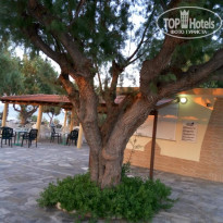 фото из отзыва ID 1843639