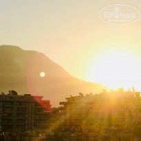 фото из отзыва ID 1843678