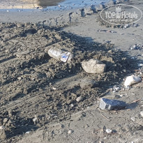 фото из отзыва ID 1843690