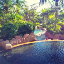 фото из отзыва ID 1843682