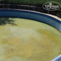 фото из отзыва ID 1843768