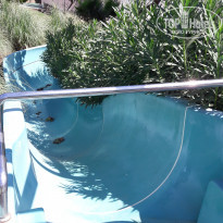 фото из отзыва ID 1843768