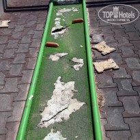 фото из отзыва ID 1843768