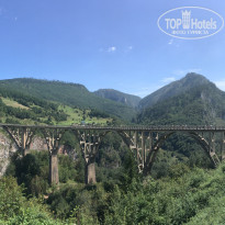 фото из отзыва ID 1843928