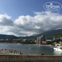 фото из отзыва ID 1843928