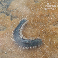 фото из отзыва ID 1844093