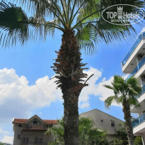 фото из отзыва ID 1844136