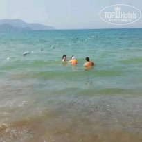 фото из отзыва ID 1844081