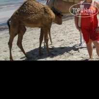 фото из отзыва ID 1844385