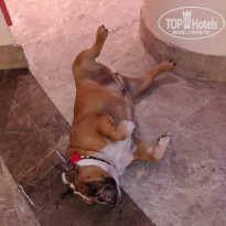 фото из отзыва ID 1844407