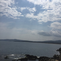 фото из отзыва ID 1844453