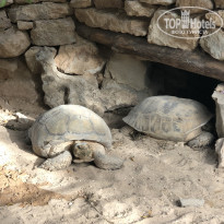 фото из отзыва ID 1844653