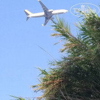 фото из отзыва ID 1844713