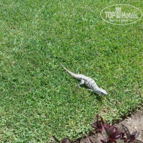 фото из отзыва ID 1844731