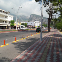 фото из отзыва ID 1844918