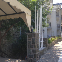 фото из отзыва ID 1845012