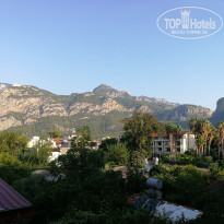 фото из отзыва ID 1845040