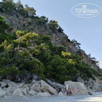 фото из отзыва ID 1845040