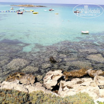 фото из отзыва ID 1845349